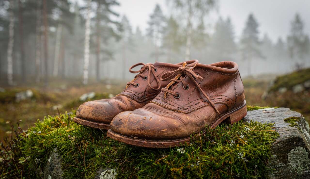 L'adaptation aux climats et terrains